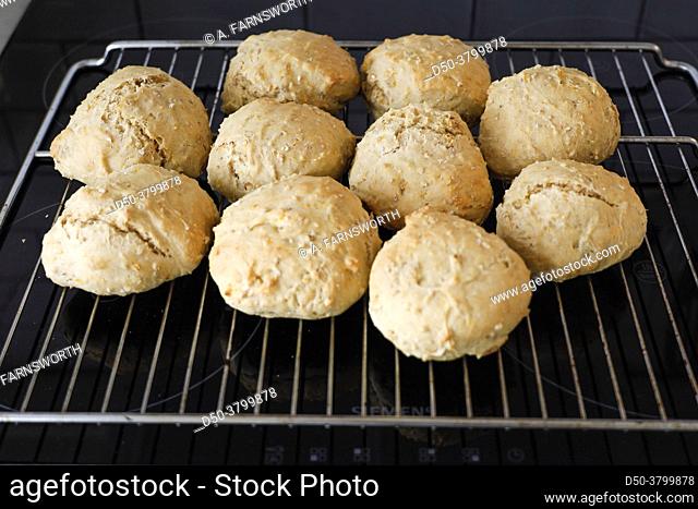 Homemade bread rolls on an oven rack