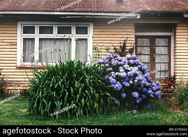 Close-up of house, Karamea, Buller District, West Coast, South Island, New Zealand, Oceania