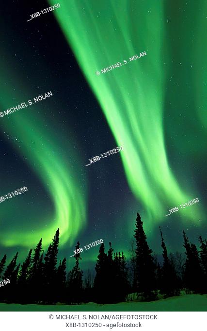 Aurora Borealis Northern Polar Lights over the boreal forest outside Yellowknife, Northwest Territories, Canada, MORE INFO The term aurora borealis was coined...