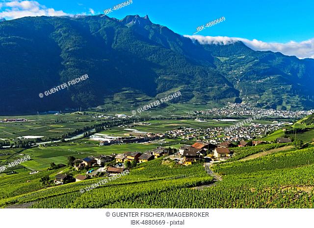 Lower Rhone valley with vineyards, Saxon village and Pierre Avoi mountain peak, Ovronnaz, Valais, Switzerland