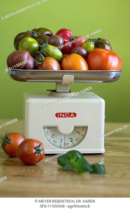 Various types of tomatoes in different colours and shapes on a pair of old-fashioned kitchen scales