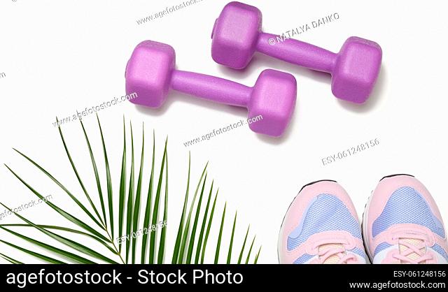 pair of pink sneakers and purple dumbbells on a white background, sports