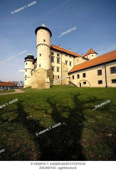 Wisnicz Castle of Poland