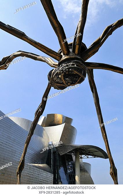 Guggenheim Museum by Frank O. Gehry.Bilbao city.Bizkaia province.Euskadi.País Vasco.Spain