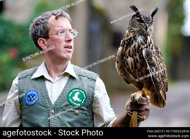 11 December 2019, Baden-Wuerttemberg, Neckarmühlbach: Stefan Rebscher, falconer of the Deutsche Greifenwarte, holds the European Eagle Owl Tobias in his arms