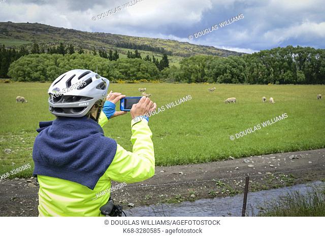 A woman takes a photo on the Central Otago Rail Trail, South Island, New Zealand