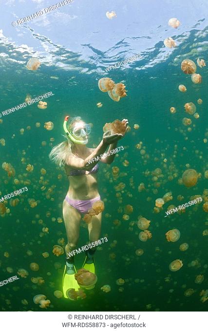 Woman in Jellyfish Lake, Mastigias papua etpisonii, Jellyfish Lake, Micronesia, Palau