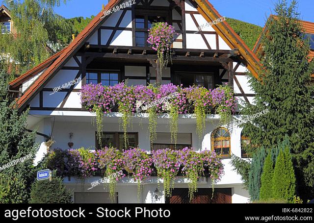 Black Forest, near Sasbachwalden, Ortenau, half-timbered house, country garden in autumn, flower decoration on the house, balcony flowers