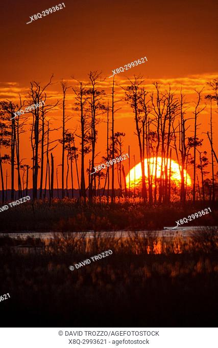 Sunrise over tidal wetlands, Blackwater National Wildlife Refuge, Cambridge, Maryland