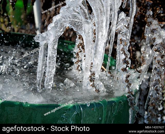 Ice, rain barrel, icicles, freezing cold