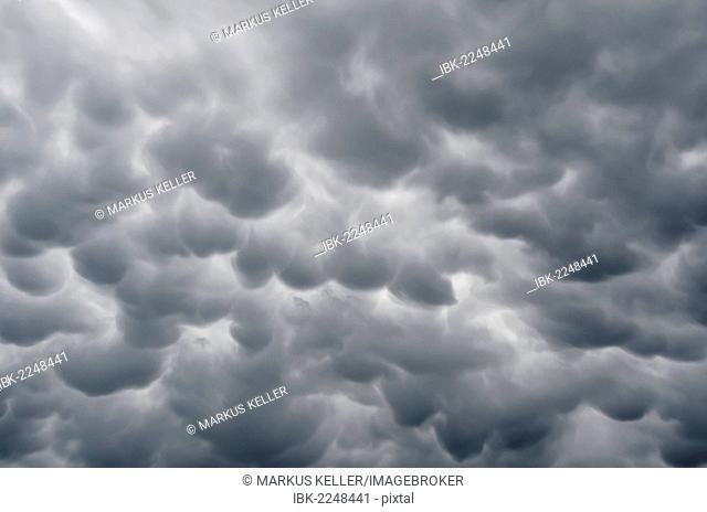 Mammatus clouds, cellular pattern of pouches hanging underneath the base of a thunderstorm cloud, also known as Cumulonimbus cloud, Baden-Wuettemberg, Germany
