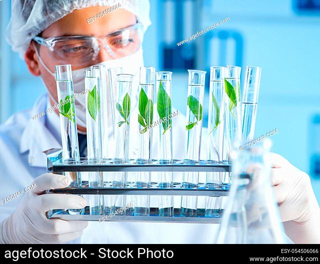 The biotechnology concept with scientist in lab