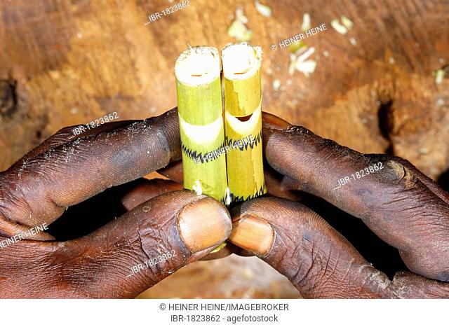 Production of bamboo pipes, Bafut, Cameroon, Africa