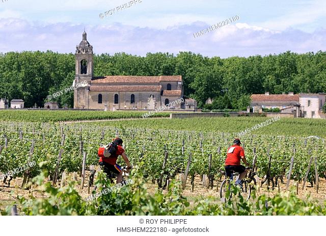 France, Gironde, the Medoc, Margaux, cyclists in the wines in front of the Roman church of Margaux