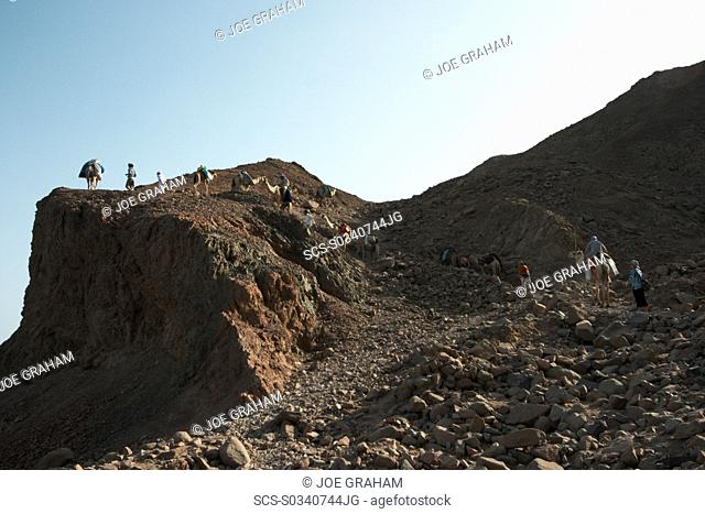 Camels and their riders climb the last steep hill beore making it to the Blue hole Dahab South Sinai Egypt