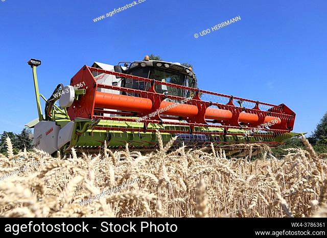 Agricultural cereal harvest (Rhineland-Palatinate, Germany, July 10, 2019)