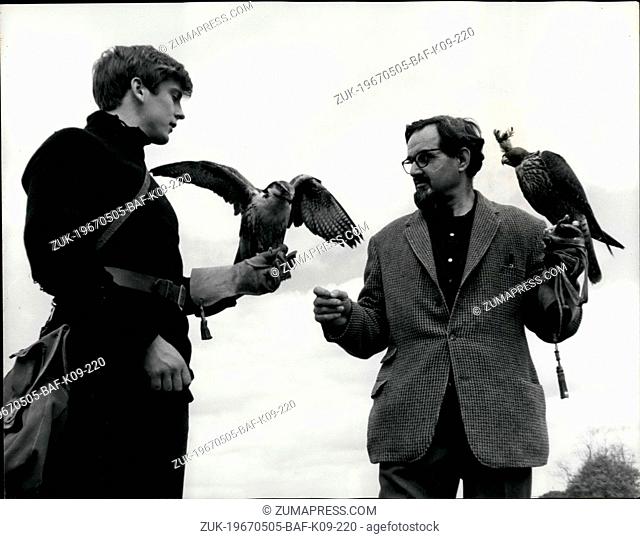 May 05, 1967 - First Steps At Falconry School: Mr. Philip Glasier, 51, using a paregrine falcon yesterday to explain handling techniques to Mr