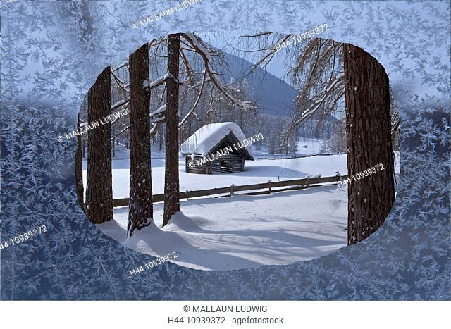 Austria, Europe, Tyrol, Mieminger plateau, Obsteig, winter, wood, forest, trees, larches, snow, fence, frost flowers, windows, window pane, ice-crystals, view