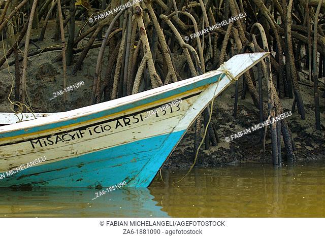 Fisherman's boat and mangrove stilt roots in Turuepano National Park, Eastern Venezuela