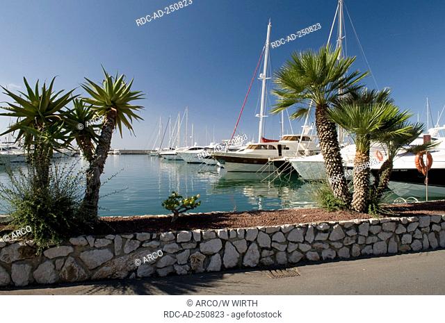 Yacht harbour San Remo Italian Riviera Ligurian Sea Liguria Italy