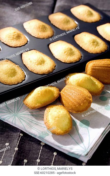 Baked Madeleines in their mould