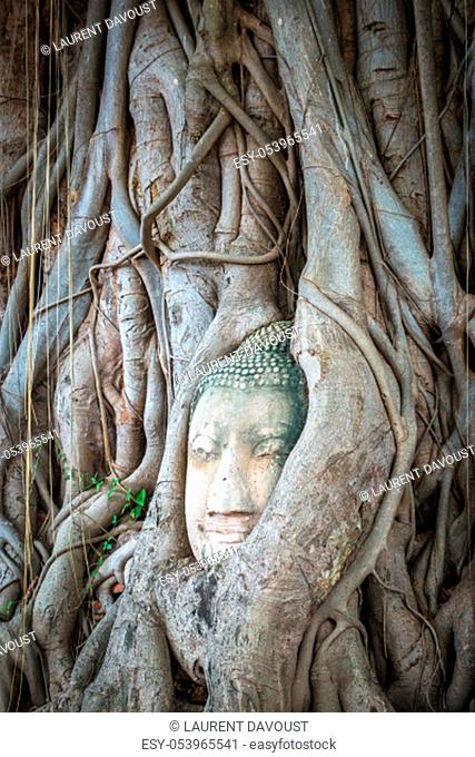Buddha Head in Tree Roots, Wat Phra Mahathat temple, Ayutthaya, Thailand