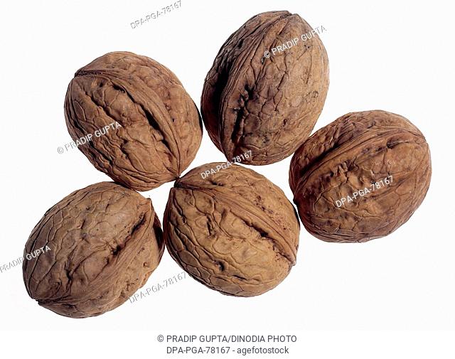 Akhrot , dried fruits five walnuts in shell on white background