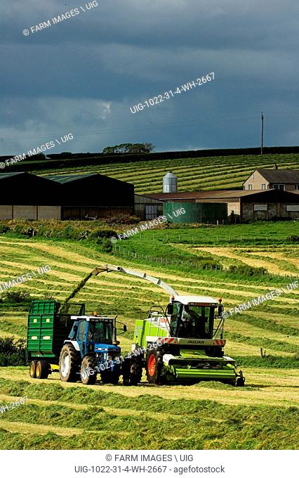 Silaging with a self propelled harvester. (Photo by: Wayne Hutchinson/Farm Images/UIG)
