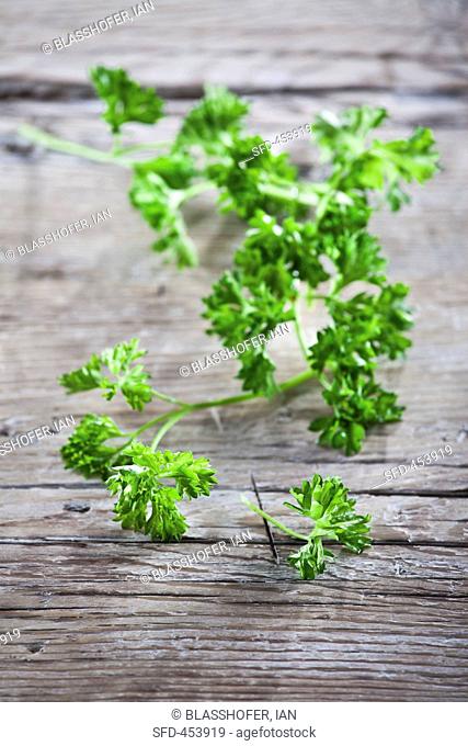 Fresh parsley on a wood background