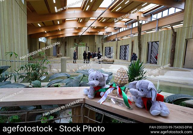03 February 2020, Bavaria, Augsburg: Soft toy elephants are lying at the entrance of the new elephant house. Photo: Karl-Josef Hildenbrand/dpa