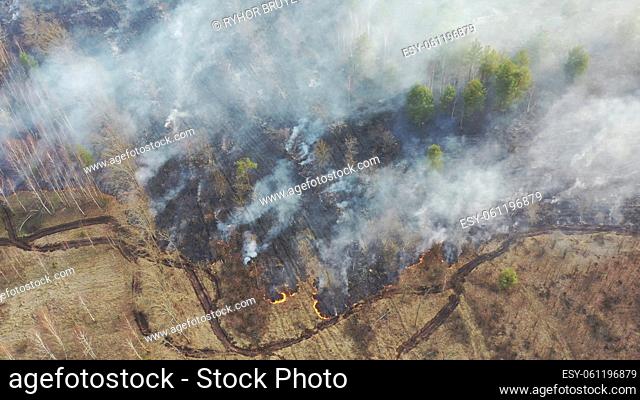 Aerial View. Spring Dry Grass Burns During Drought Hot Weather. Bush Fire And Smoke In Deforestation Zone. Wild Open Fire Destroys Grass