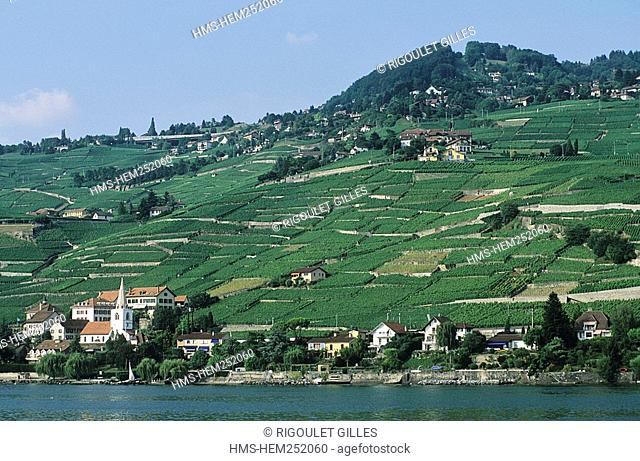Switzerland, Canton of Vaud, vineyards near St Saphorin
