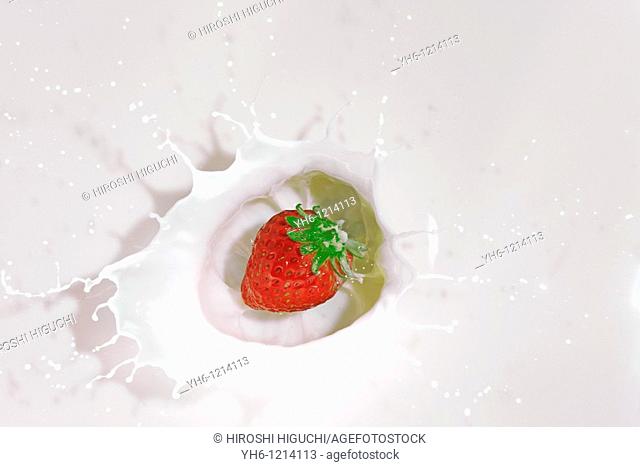 Milk splashing by strawberry, Japan, Fukushima