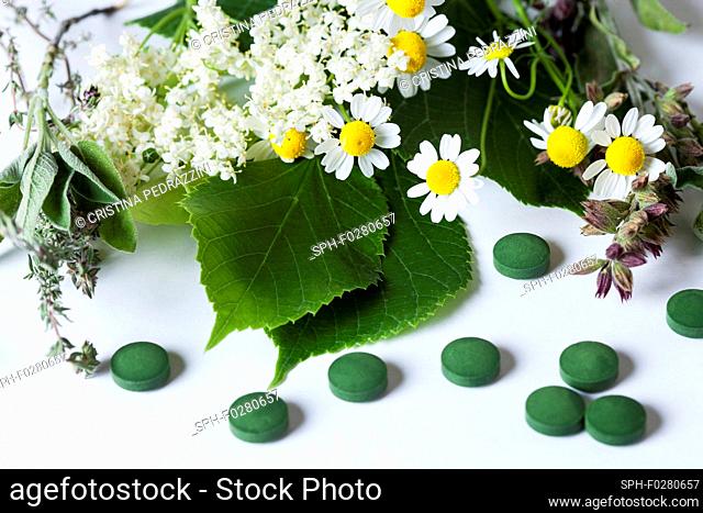 Medicinal plants and herbal remedies