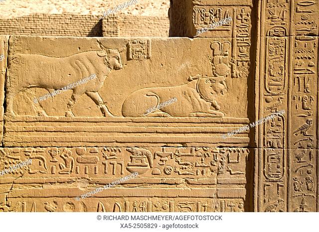 Bas-reliefs on Walls, Temple of Haroeris and Sobeck, Kom Ombo, Egypt