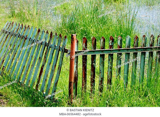 Photography of a rusty rotted fence in a marsh landscape