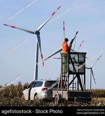 PRODUCTION - 18 October 2023, Schleswig-Holstein, Dissau: Hunter Tom Rosteck stands with his rifle on a mobile raised hide at the edge of a cornfield during the...