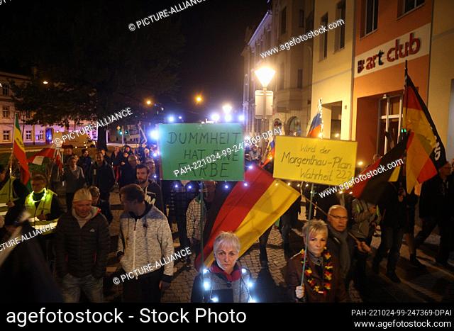 24 October 2022, Thuringia, Gera: ""Stupidity has a color"" is written on a poster at a demonstration against the energy policy of the federal government and...