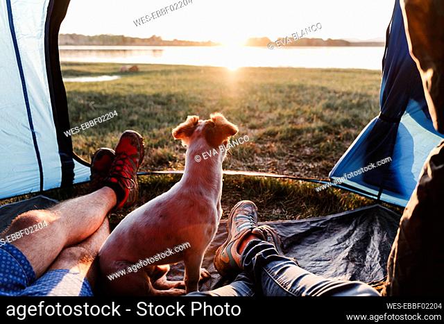 Legs of male and female friends with dog relaxing in tent at sunset
