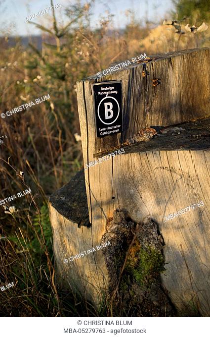 Hiking sign at old tree stump in evening light