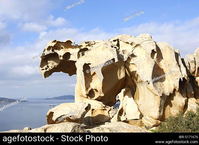 Granite rocks, Bear Cape, coast near Palau, Sardinia, Capo d'Orso, Italy, Europe