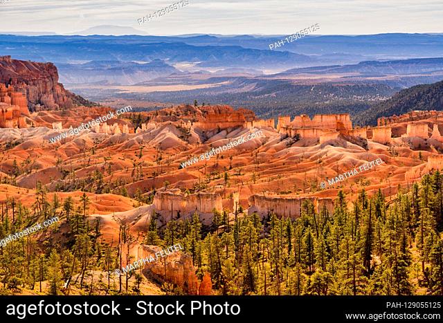USA, Utah, Vereinigte Staaten, Bryce Canyon, Herbst, Bäume, Landschaft, Colorado Plateau | usage worldwide. - Bryce Canyon/Utah/United States of America