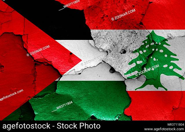 flags of Palestine and Lebanon painted on cracked wall