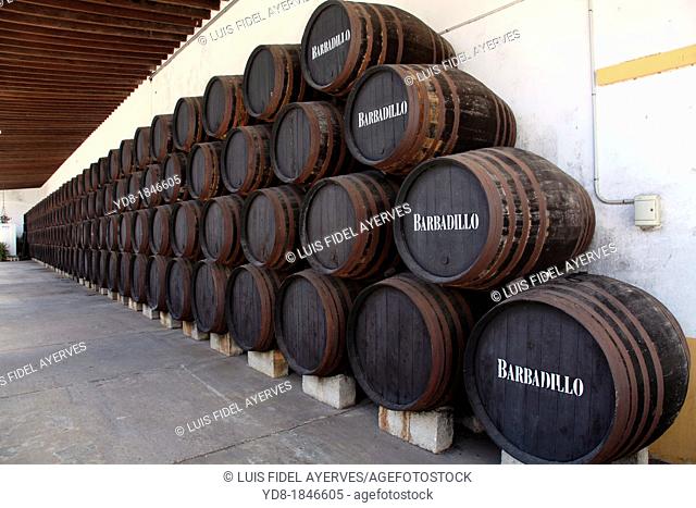 Boots of wine of Bodegas Barbadillo, Sanlucar de Barrameda, Cadiz, Andalucia, Spain, Europe