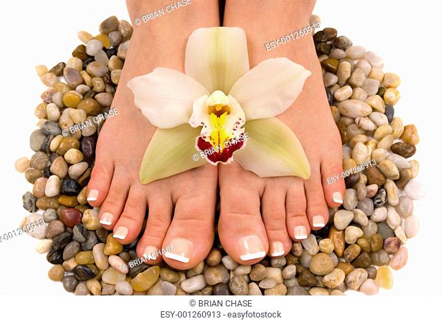 Feet and Orchid