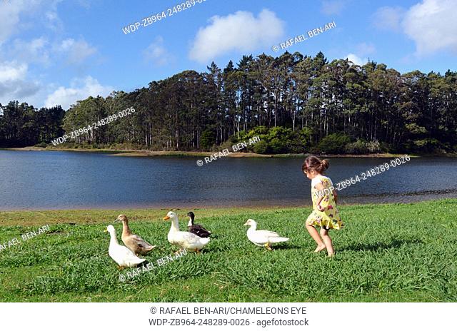 Little girl chasing wild ducks beside a lake.Photo by Rafael Ben-Ari/Chameleons Eye