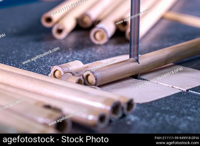 PRODUCTION - 25 October 2021, Mecklenburg-Western Pomerania, Kröpelin: Reed cane is cut to length in the Michaelwerk workshop for disabled people for the...