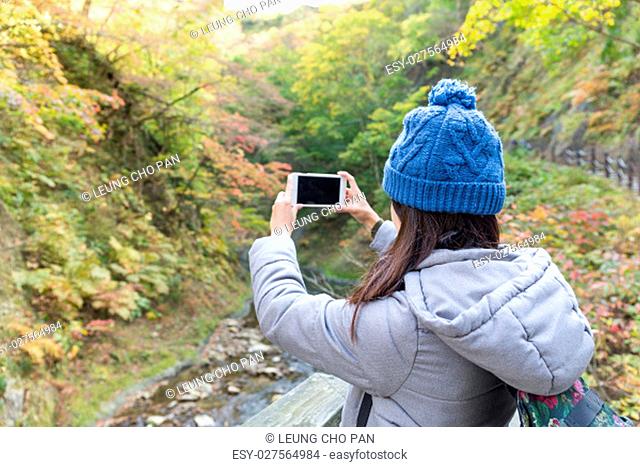 Woman taking photo in forest
