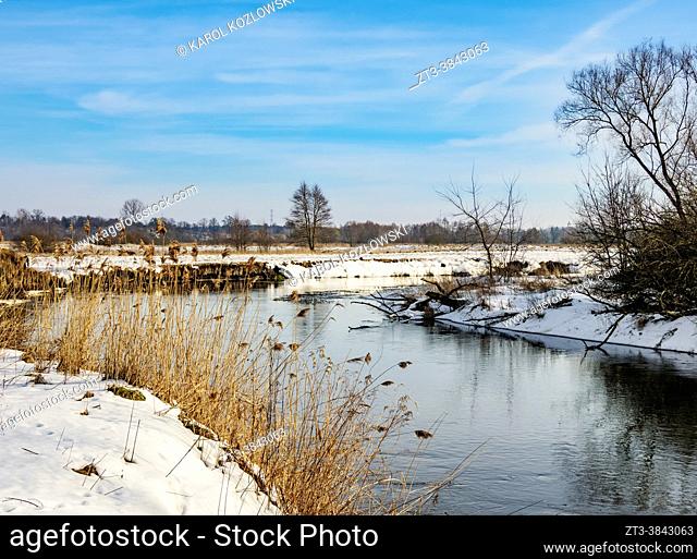 River Wieprz at winter time, Zawieprzyce, Lublin Voivodeship, Poland