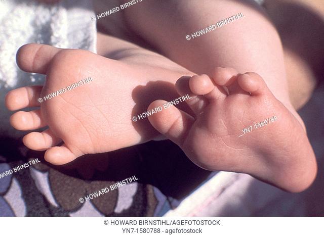 close up view of a baby's feet from below as they warm in the morning sun